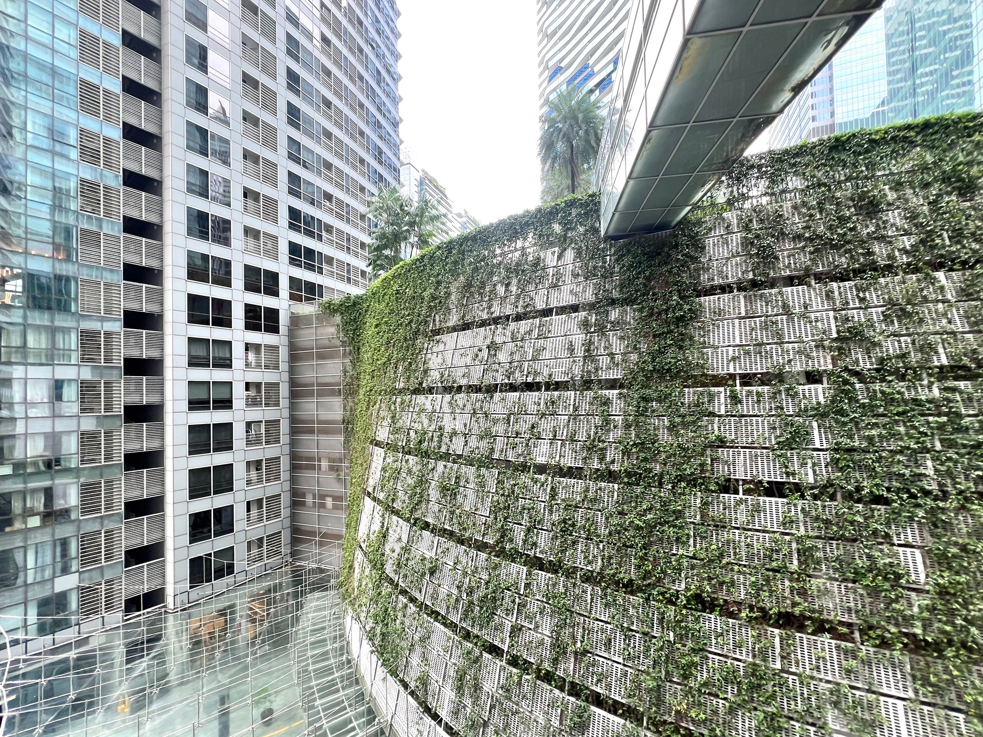 Homey Co-living – Flexible Short Rental in Singapore